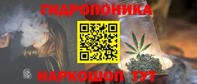 мяу мяу мука Камышлов