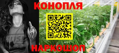 мяу мяу мука Камышлов