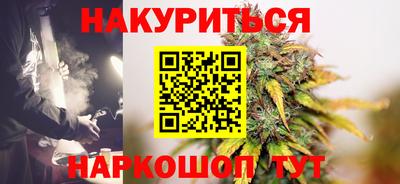 мдпв Кингисепп