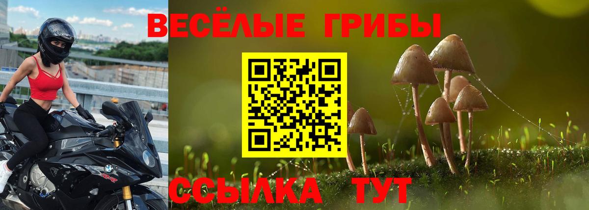 Псилоцибиновые грибы GOLDEN TEACHER  Вход с VPN  Кострома  Галлюциногенные грибы MAGIC MUSHROOMS 